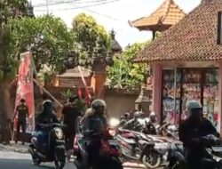 Jangan Ganggu, Banteng yang Bangun Jadi Brutal