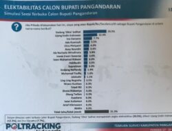 Dadang Solihat Mencuri Perhatian di Survei Sementara Pilkada 2024