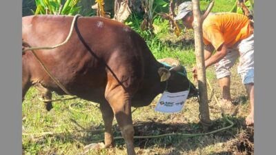 Alhamdulillah, Warga Watesjaya Terima Kasih atas Pembagian Daging Kurban dari MNC Land dan MNC Peduli