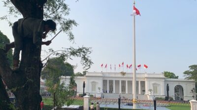 Tamu Negara Terus Berdatangan di Istana Bersolek Jelang Pelantikan Prabowo-Gibran