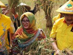 Mbak Tutut Diganjar Kembali ke Partai Golkar: Penemuan yang Menjanjikan