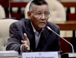 PT Timah Gugat UU Tipikor: Pakar Hukum Sebut Kontraproduktif