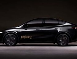 Performa Tesla Robotaxi: Analisis Akhir Pekan Pertama