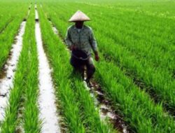 Kritik Anggota DPR terhadap Kesejahteraan Petani dan Nelayan