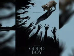 Good Boy: Film Horor Dalam POV Anjing