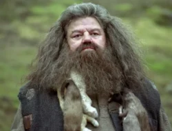 Sutradara Harry Potter Kritik Pedas Reboot HBO atas Kesamaan Versi Lama