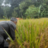Arista Montana Satukan Konservasi dan Ketahanan Pangan