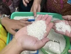 DPR Soroti Temuan Beras Impor Menguning di Gudang Bulog